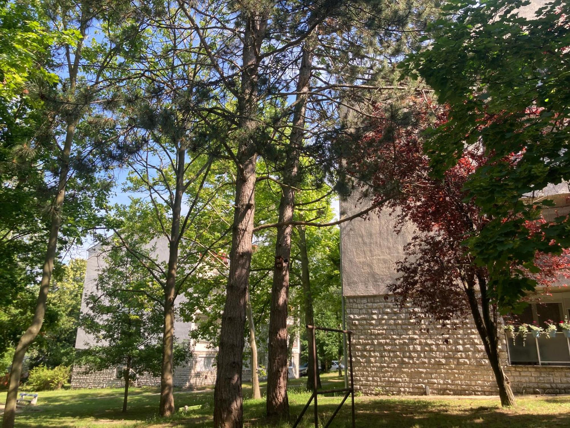 Veszprém Oazis Apartman מראה חיצוני תמונה