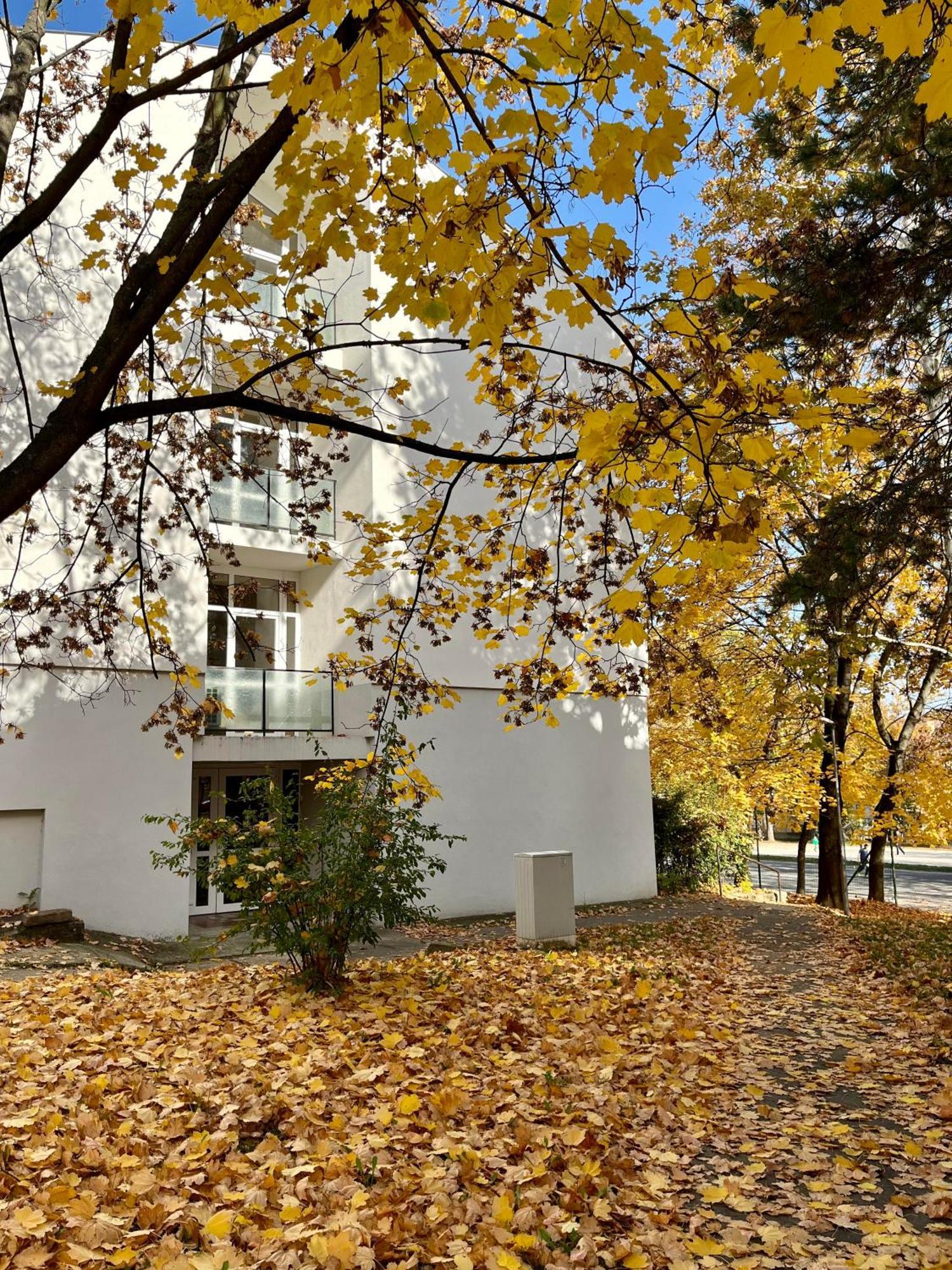Veszprém Oazis Apartman מראה חיצוני תמונה